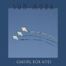 Chasing Box Kites
