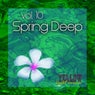 Spring Deep, Vol. 10