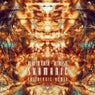 Shamanic (Skizologic Remix)