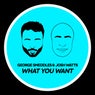 What You Want - Extended Mix