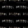 Flies in the darkness