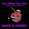 See What You See (Kayos' Knee Deep Remix)