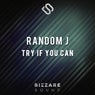 Try If You Can