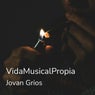 Vidamusicalpropia