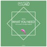 What You Need (Remix)