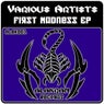 First Madness EP