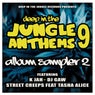 Deep In The Jungle Anthems 9 - LP Sampler 2