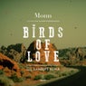 Birds Of Love - Gil Sanders Remix