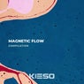 Magnetic Flow