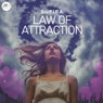 Law of Attraction