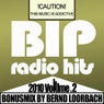 BIP Radio Hits 2010 Volume 2