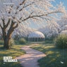 Beneath the Magnolia