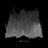 64 Bytes Remixes