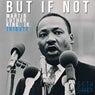 But If Not (Martin Luther King, Jr. Deep House Tribute)