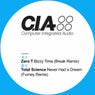 Bizzy Time (Break Remix) / Never Had a Dream (Furney Remix)