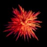 Luminescence