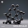 Molecule