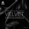 Velvet Obviousness