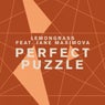 Perfect Puzzle (feat. Jane Maximova)