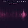 Lost In Sound
