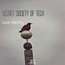 Love We Fly