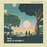 Days Of Wonder EP