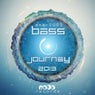 Bass Journey 2013