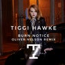Burn Notice (Oliver Nelson Remix)