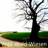 Wild Wald Wiesen (34 Tracks Minimal Techno Music)