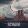 Still In The Storm (Extended Mix)