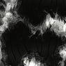 Echolocate EP