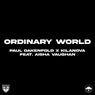 Ordinary World