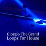 Loops For House