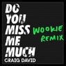 Do You Miss Me Much (Wookie Remix)