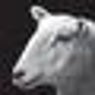 Speck EP