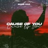 Cause of You