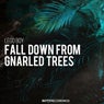 Fall Down from Gnarled Trees