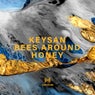 Bees Around Honey