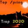 Top Spring Trap 2020