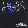 I'm So Crazy (Extended Mix)