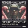 Sonic Psyche
