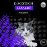 Discotech