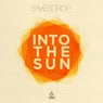 Into the Sun