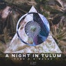A Night in Tulum