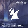 Pegasus - Vigel Remix