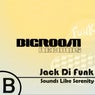 Jack Di Funk
