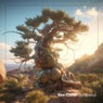 Juniperus