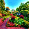 Tripping In My Garden