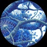 mosso012