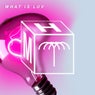 What Is Luv (Extended Mix)